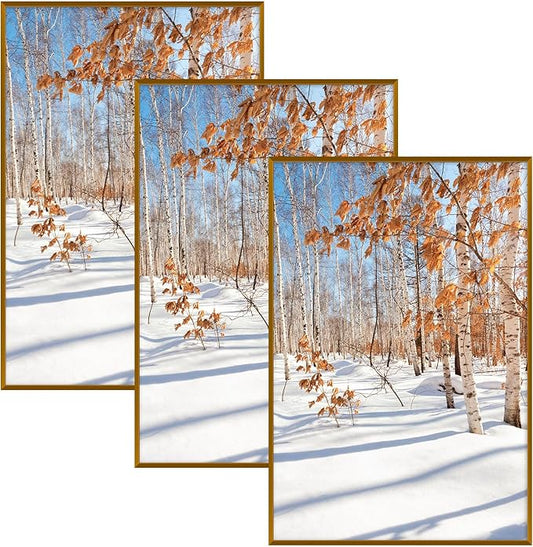 Golden State Art, 20x30 Aluminum Picture Frame, Bronze Metal Thin Poster Frames for 20 x 30 inch Photo, Acrylic Front, Wall Hook for Horizontal or Vertical Display, 3 Pack