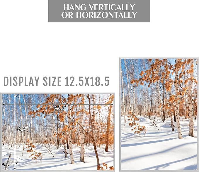 Golden State Art, 13x19 Aluminum Picture Frame, Silver Metal Thin Poster Frames for 13 x 19 inch Photo, Acrylic Front, Wall Hook for Horizontal or Vertical Display, 3 Pack