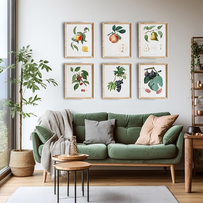 Vintage Fruit Art Prints - Kitchen Botanical Prints - (Set of 6) - Unframed - 11x14 | Wall Décor Enhancing Your Culinary Space with Classic Charm - Ideal for Kitchen, Dining Area, or Farmhouse Décor