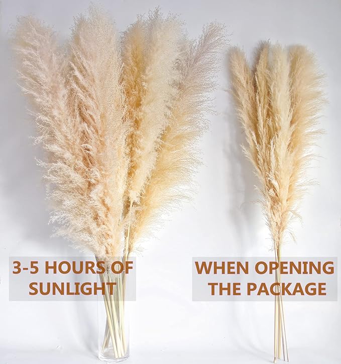 46" inch 10 Stems Natural Pampas Grass Decor Tall, Pompas Grass, Tall Pampas Grass for Weddingm, Farmhouse, Boho Home Decor (Ivory)
