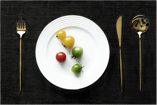 Placemats Set of 6 Vinyl/Plastic Woven Place Mats for Kitchen Table Indoor/Outdoor Washable Placemat Wipeable Dining Table Mats (Full Black,6)