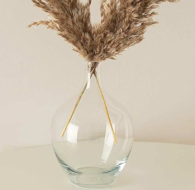 Clear Glass Vase for Pampas Grass Flowers Clear Vase for Decor Small Glass Vase for Dining Table Centerpiece Decorative Vase for Living Room Home Decor Shelf Decor Glass Demijohn 7.9 inch Tall