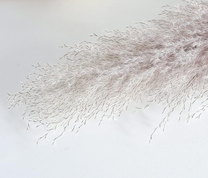 46" inch 10 Stems Natural Pampas Grass Decor Tall, Pompas Grass, Tall Pampas Grass for Weddingm, Farmhouse, Boho Home Decor (Grey)