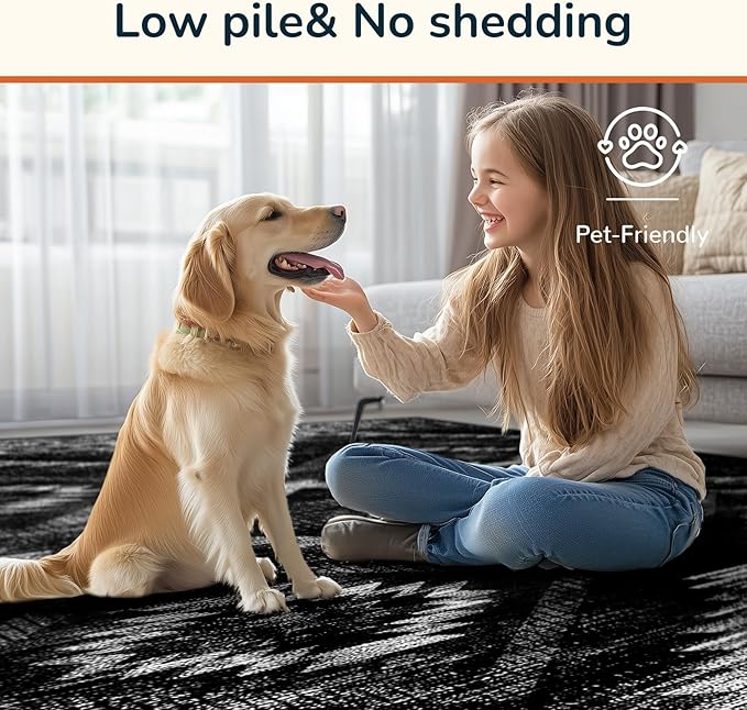 Area Rug 2x3 Rug Machine Washable Non-Slip Low Pile Print Pattern Western Rug for Living Room Bedroom Entryway Tribal Series-Black