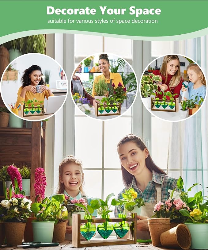 Nacome Plant Terrarium for Office Decor: Birthday Gifts for Plant Lovers Women Mom Wife - Wooden Stand Tabletop Planter 3 Bulb Glass Vase Heart Shaped for Hydroponics Indoor Home(Green)
