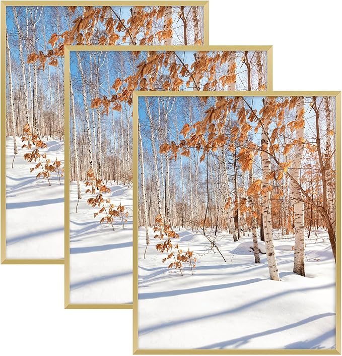 Golden State Art, 14x18 Aluminum Picture Frame, Gold Metal Thin Poster Frames for 14 x 18 inch Photo, Acrylic Front, Wall Hook for Horizontal or Vertical Display, 3 Pack