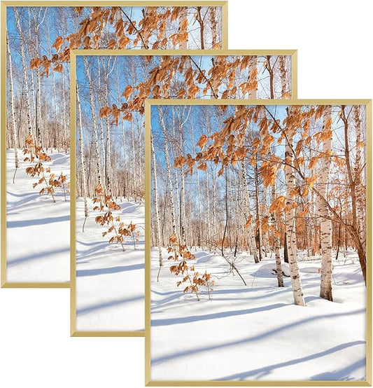 Golden State Art, 14x18 Aluminum Picture Frame, Gold Metal Thin Poster Frames for 14 x 18 inch Photo, Acrylic Front, Wall Hook for Horizontal or Vertical Display, 3 Pack