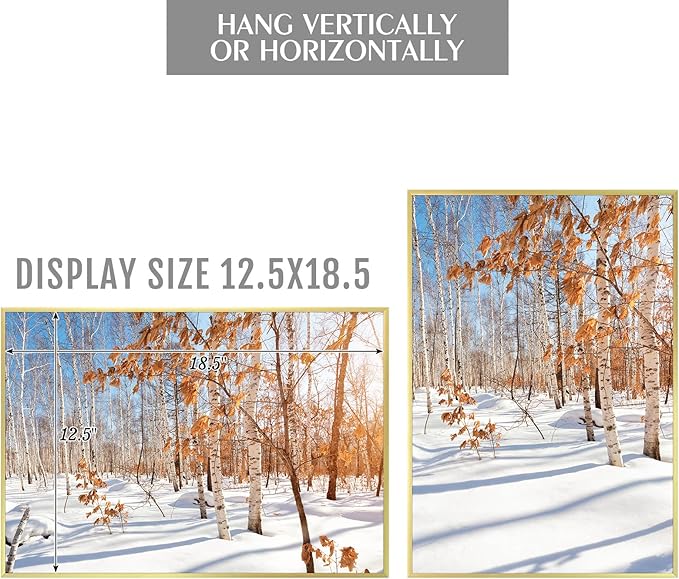 Golden State Art, 13x19 Aluminum Picture Frame, Gold Metal Thin Poster Frames for 13 x 19 inch Photo, Acrylic Front, Wall Hook for Horizontal or Vertical Display, 3 Pack