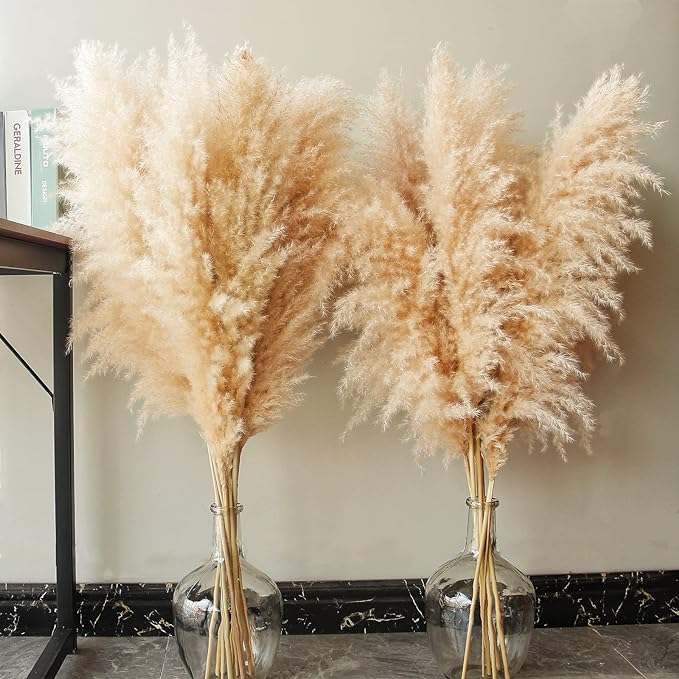 46" inch 20 Stems Natural Pampas Grass Decor Tall, Pompas Grass, Tall Pampas Grass for Weddingm, Farmhouse, Boho Home Decor (Beige)