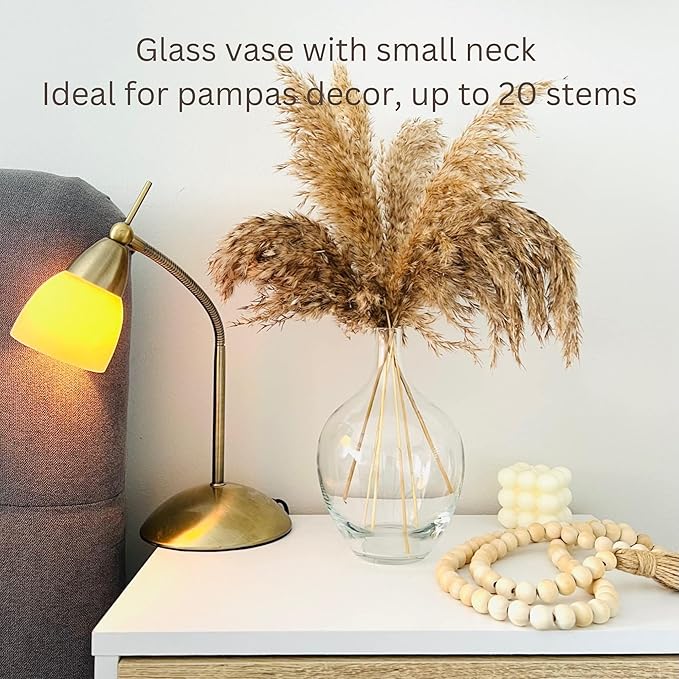 Clear Glass Vase for Pampas Grass Flowers Clear Vase for Decor Small Glass Vase for Dining Table Centerpiece Decorative Vase for Living Room Home Decor Shelf Decor Glass Demijohn 7.9 inch Tall