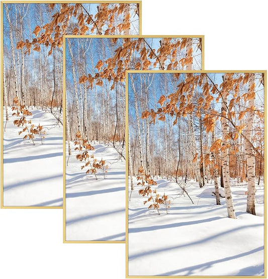 Golden State Art, 20x30 Aluminum Picture Frame, Gold Metal Thin Poster Frames for 20 x 30 inch Photo, Acrylic Front, Wall Hook for Horizontal or Vertical Display, 3 Pack