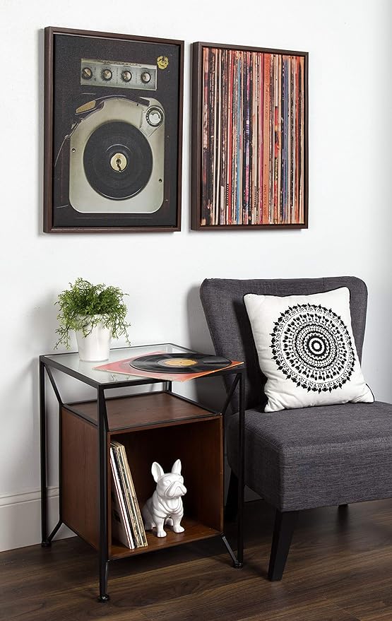 Kate and Laurel Sylvie Record Album Sleeves Framed Canvas Wall Art by Robert Cadloff, 18x24 Walnut Brown
