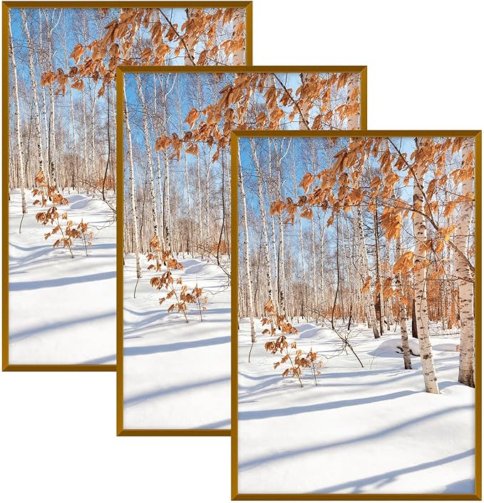Golden State Art, 13x19 Aluminum Picture Frame, Bronze Metal Thin Poster Frames for 13 x 19 inch Photo, Acrylic Front, Wall Hook for Horizontal or Vertical Display, 3 Pack
