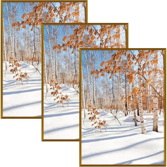 Golden State Art, A2 Aluminum Picture Frame, Bronze Metal Thin Poster Frames for 16.5x23.4 inch Photo, Acrylic Front, Wall Hook for Horizontal or Vertical Display, 3 Pack