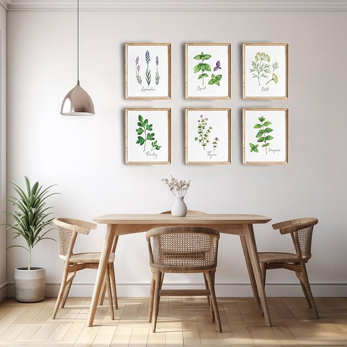 Botanical Prints Kitchen Herbs Wall Art - (Set of 6) - Unframed - 8x10s