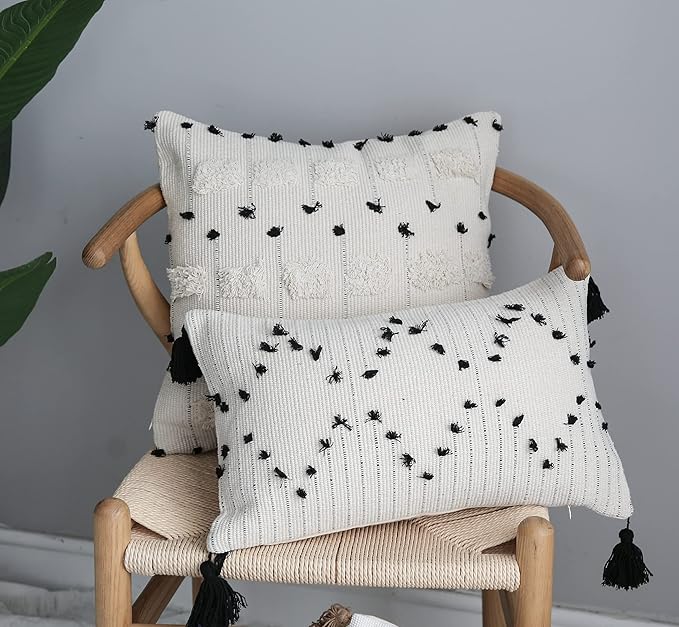 LIGICKY Boho Black and Beige Off White Throw Pillow Covers with Tassels Decorative Woven Plush Soft Tufted Square Pillow Case Modern Farmhouse Textured Cushion Cover for Couch Sofa Bed, 18x18 Inch