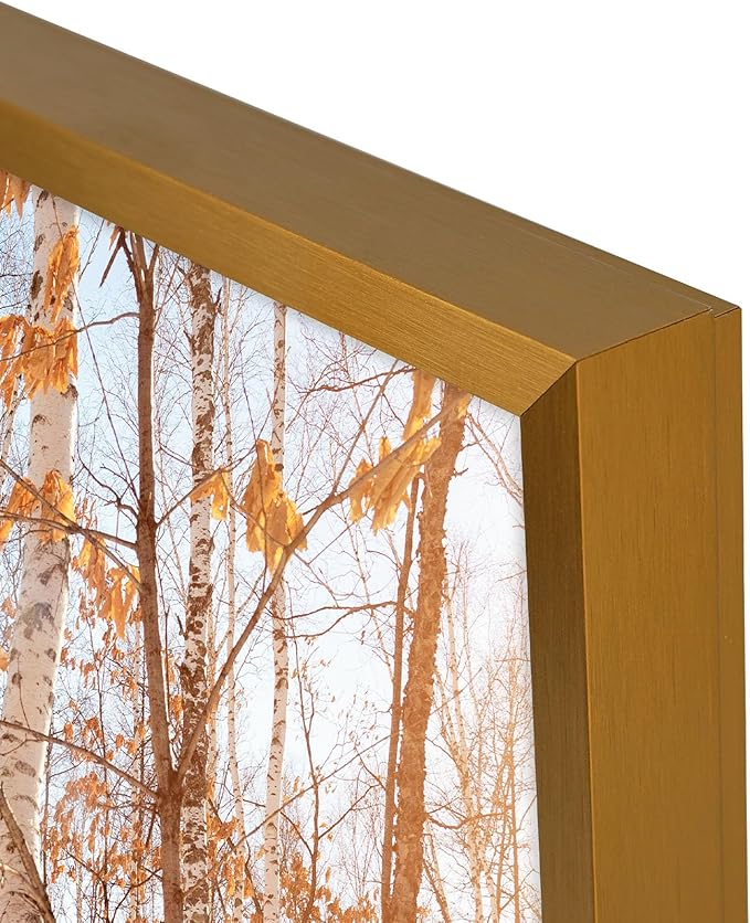 Golden State Art, 13x19 Aluminum Picture Frame, Bronze Metal Thin Poster Frames for 13 x 19 inch Photo, Acrylic Front, Wall Hook for Horizontal or Vertical Display, 3 Pack