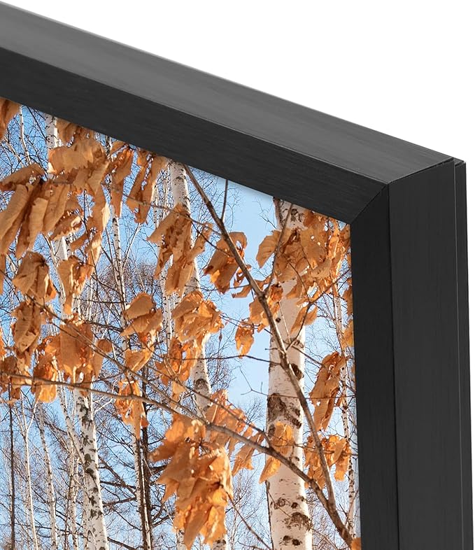 Golden State Art, 12x18 Aluminum Picture Frame, Black Metal Thin Poster Frames for 12 x 18 inch Photo, Acrylic Front, Wall Hook for Horizontal or Vertical Display, 3 Pack