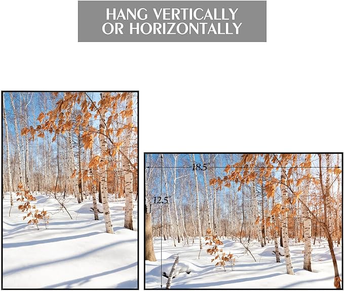 Golden State Art, 13x19 Aluminum Picture Frame, Black Metal Thin Poster Frames for 13 x 19 inch Photo, Acrylic Front, Wall Hook for Horizontal or Vertical Display, 3 Pack