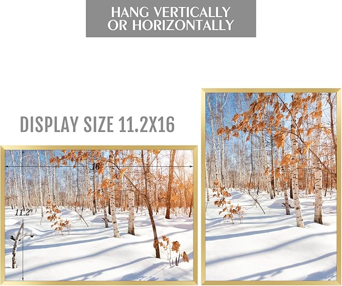 Golden State Art, A3 Aluminum Picture Frame, Gold Metal Thin Poster Frames for 11.7x16.5 inch Photo, Acrylic Front, Wall Hook for Horizontal or Vertical Display, 3 Pack