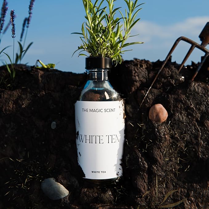 White Tea Diffuser Oil - Hotel & Home Luxury Scents - Diffuser Oil Scents for Home Designed for Use in All Diffusers - 8.5 fl oz, 250 mL