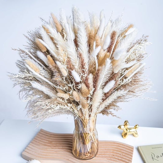 220PCS Natural Dried Pampas Grass Boho Home Decor Bouquet Phragmites Dried Flowers Bouquet for Wedding Floral Arrangements Home Decorations (220PCS)