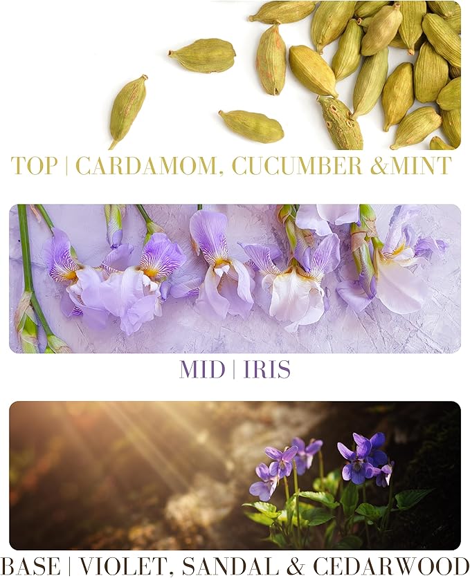 Santal Artisan Natural Room and Linen Spray with Pure Essential and Fragrance Oils, Made in California (4 oz), 33