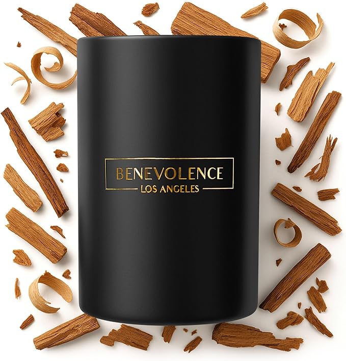 Benevolence LA Santal Scented Candle | Soy Candles, Black Candle for Home | Gifts for Women and Men | Home Fragrance | Aromatherapy | Bathroom Freshener | 10oz