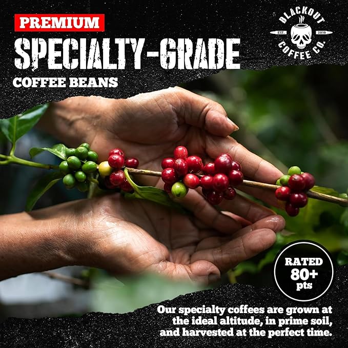 Blackout Coffee Brewtal Awakening Whole Bean Coffee – Dark Roast, High Caffeine, Bold & Strong – Freshly Roasted 12oz Bag, American Made