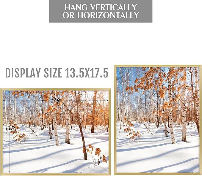 Golden State Art, 14x18 Aluminum Picture Frame, Gold Metal Thin Poster Frames for 14 x 18 inch Photo, Acrylic Front, Wall Hook for Horizontal or Vertical Display, 3 Pack