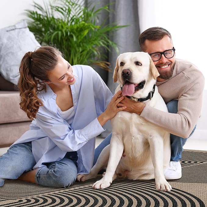 Lahome Modern Rainbow Easy Jute 6x9 Rug, Large Living Room Carpet Washable Outdoor Patio Dining Room Rug, Non Slip Indoor Outdoor Carpet for Backyard Deck Office Decor