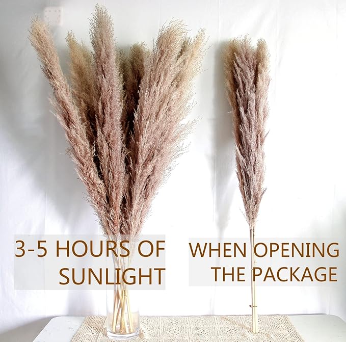 46" inch 10 Stems Natural Pampas Grass Decor Tall, Pompas Grass, Tall Pampas Grass for Weddingm, Farmhouse, Boho Home Decor (Grey)