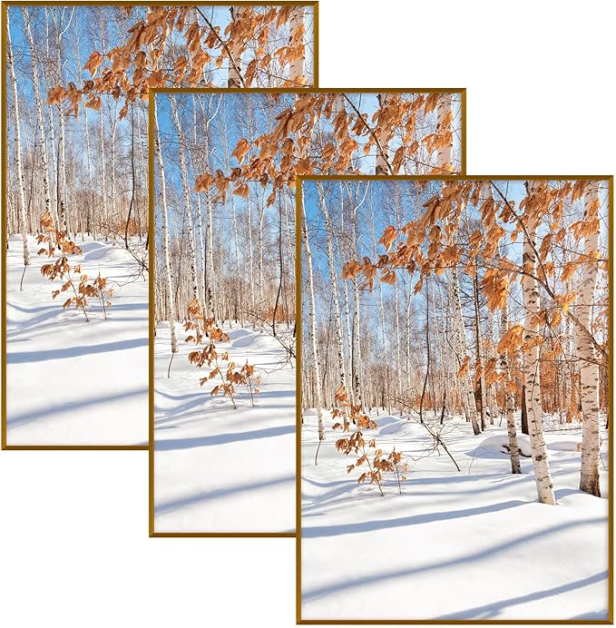 Golden State Art, A1 Aluminum Picture Frame, Bronze Metal Thin Poster Frames for 23.4x33.1 inch Photo, Acrylic Front, Wall Hook for Horizontal or Vertical Display, 3 Pack