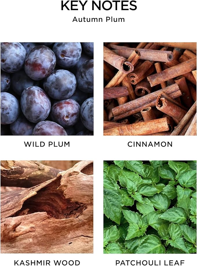 NEST New York Reed Diffuser, Autumn Plum - 5.9 fl oz - Fragrance for Up to 90 Days - Reusable, Refillable Glass Holder - Includes 8 All-Natural Reed Sticks - Flame Free