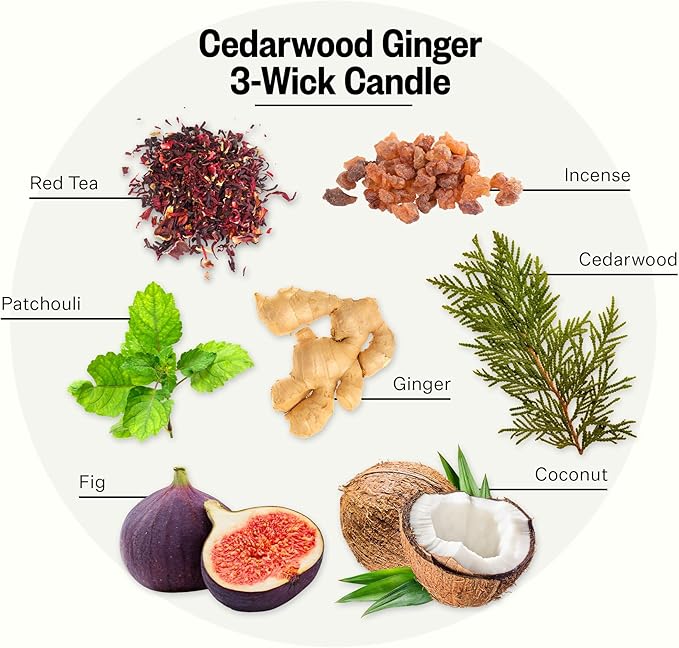 Apotheke 3-Wick Scented Candles for Home, Cedarwood Ginger - 26 oz Soy Wax Jar Candle Gift for Women - Long-Lasting Fragrance with Perfume-Grade Essential Oils - Patchouli, Red Tea, Fig & Coconut