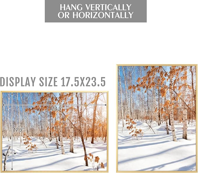 Golden State Art, 18x24 Aluminum Picture Frame, Gold Metal Thin Poster Frames for 18 x 24 inch Photo, Acrylic Front, Wall Hook for Horizontal or Vertical Display, 3 Pack