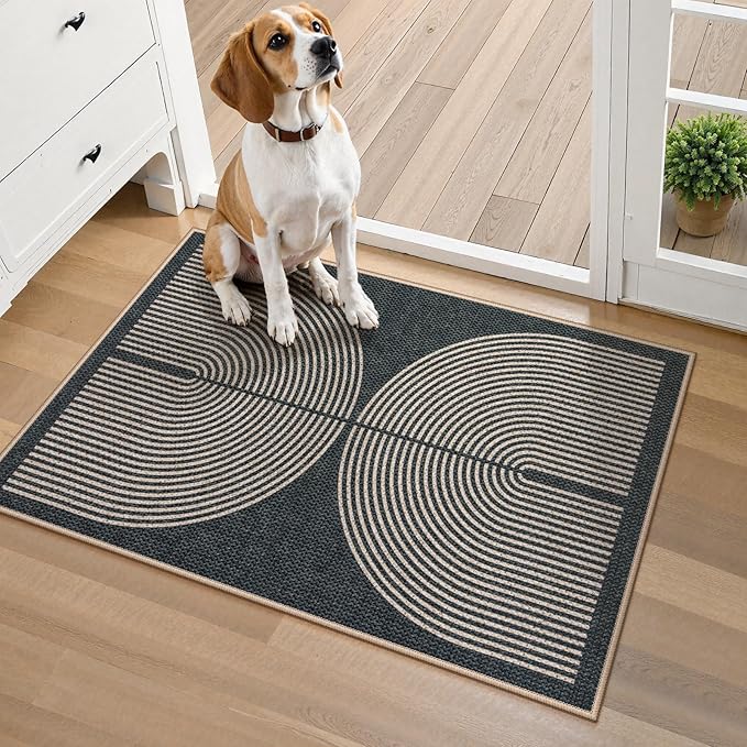 Lahome Rainbow Indoor Door Mat, 20"x32" Small Black Rugs for Entryway Kitchen Neutral Area Rug, Farmhouse Non Slip Non Shedding Lightweight Floor Carpet for Front Porch