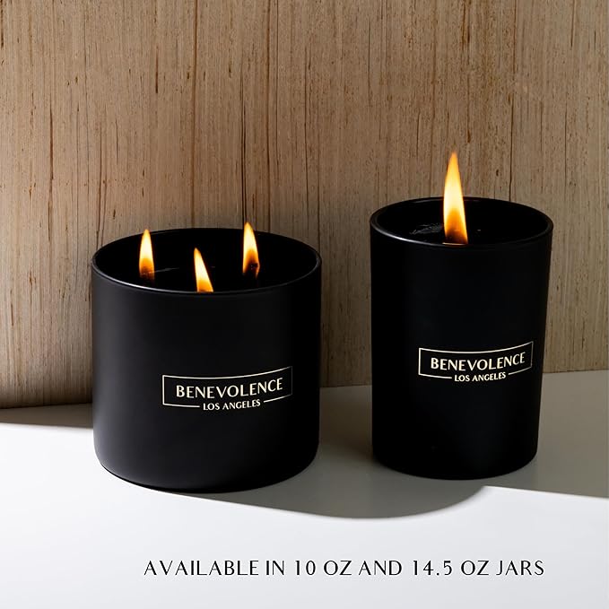 Benevolence LA 3 Wick Candle, Santal Large Scented Candle | Soy Candles | Gifts for Women and Men | Home Fragrance | Aromatherapy | Bathroom Freshener 14.5 Oz, 45 Hour Burn