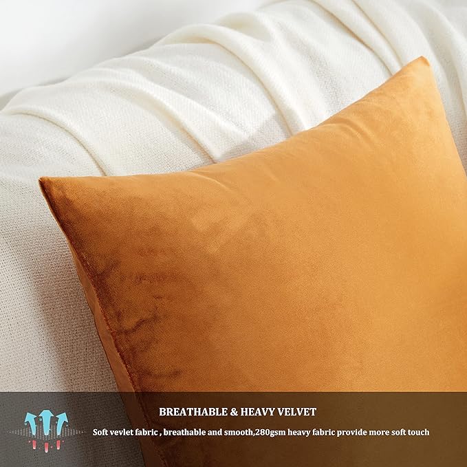 GIGIZAZA Decorative Throw Pillow Covers 18 x 18, Cinnamon Burnt Orange Soft Pillow Covers Velvet,Set of 4 Decor Square Cushion Covers