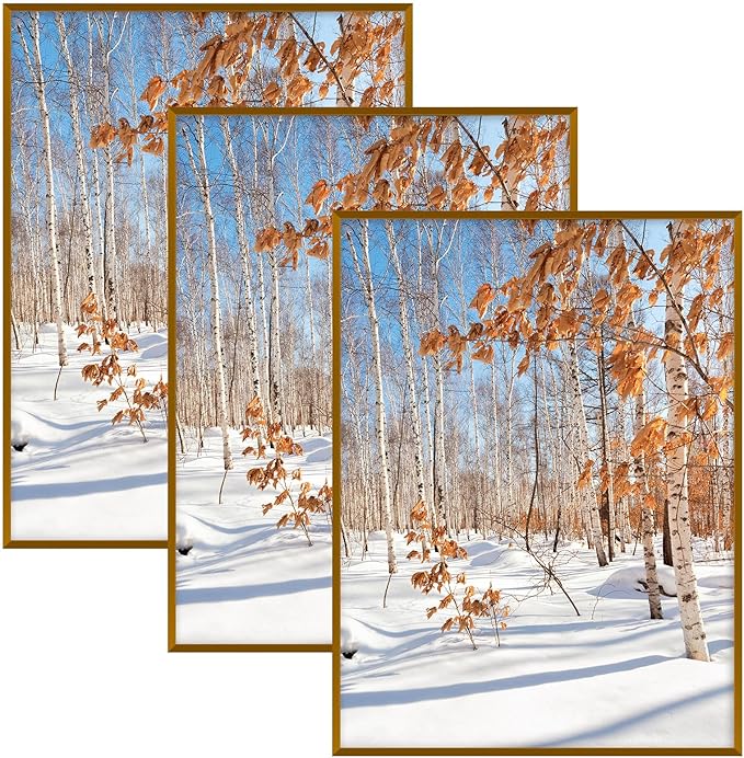 Golden State Art, 18x24 Aluminum Picture Frame, Bronze Metal Thin Poster Frames for 18 x 24 inch Photo, Acrylic Front, Wall Hook for Horizontal or Vertical Display, 3 Pack
