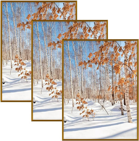 Golden State Art, 18x24 Aluminum Picture Frame, Bronze Metal Thin Poster Frames for 18 x 24 inch Photo, Acrylic Front, Wall Hook for Horizontal or Vertical Display, 3 Pack