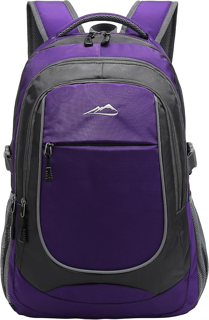 Backpack for College Sturdy Bookbag Travel Business with USB Charging Port Laptop compartment Chest Straps Anti Theft Night Light Reflective (Purple)