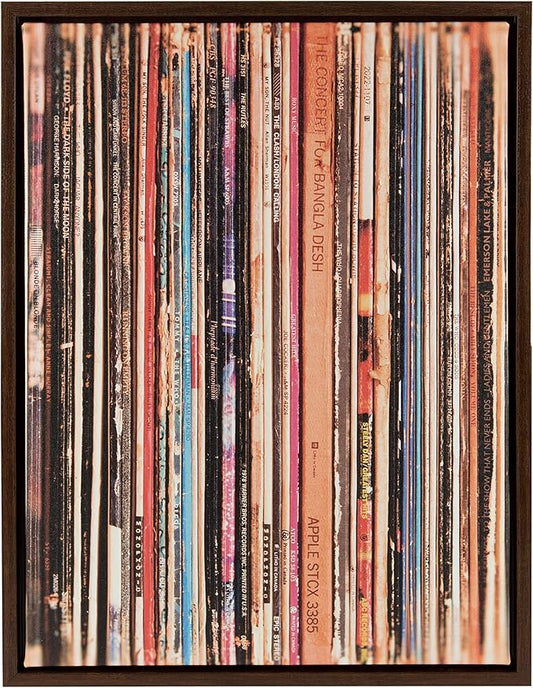 Kate and Laurel Sylvie Record Album Sleeves Framed Canvas Wall Art by Robert Cadloff, 18x24 Walnut Brown