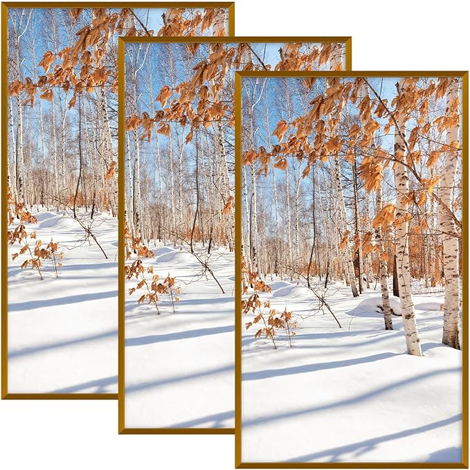Golden State Art, 14x24 Aluminum Picture Frame, Bronze Metal Thin Poster Frames for 14 x 24 inch Photo, Acrylic Front, Wall Hook for Horizontal or Vertical Display, 3 Pack