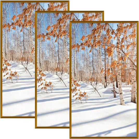 Golden State Art, 14x24 Aluminum Picture Frame, Bronze Metal Thin Poster Frames for 14 x 24 inch Photo, Acrylic Front, Wall Hook for Horizontal or Vertical Display, 3 Pack