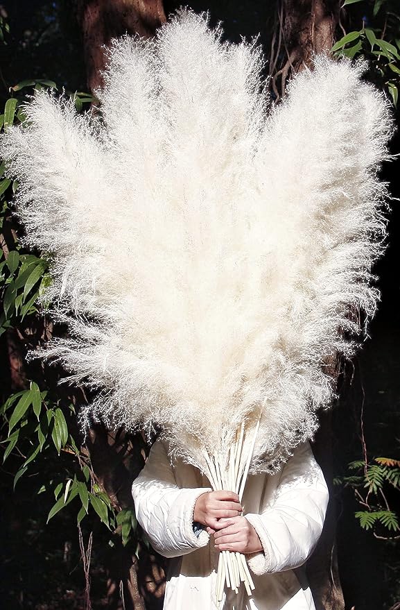 46" inch 10 Stems Cream Pampas Grass Decor Tall, Dry Flowers for Floor Vases Decor, Natural Dried Flowers for Wedding, Natural Home Decor, Wall Grass, Glam Decor