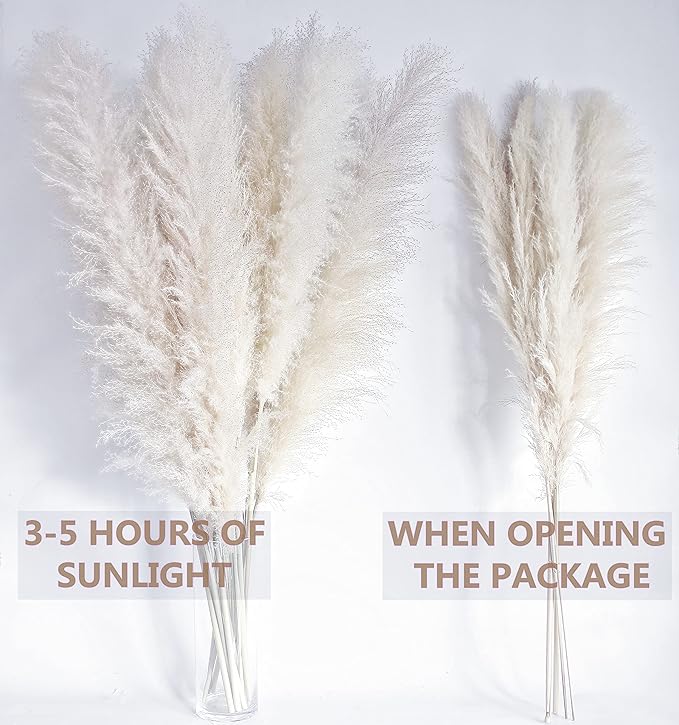 46" inch 10 Stems Cream Pampas Grass Decor Tall, Dry Flowers for Floor Vases Decor, Natural Dried Flowers for Wedding, Natural Home Decor, Wall Grass, Glam Decor