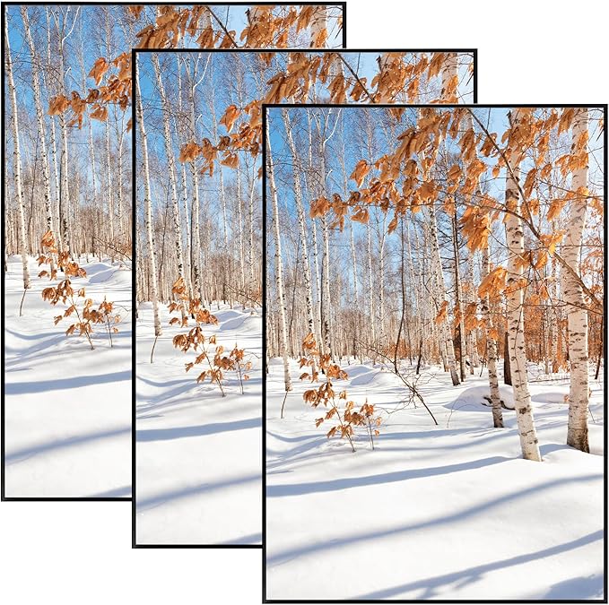 Golden State Art, 13x19 Aluminum Picture Frame, Black Metal Thin Poster Frames for 13 x 19 inch Photo, Acrylic Front, Wall Hook for Horizontal or Vertical Display, 3 Pack