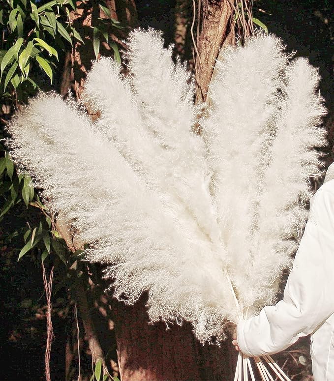 46" inch 10 Stems Cream Pampas Grass Decor Tall, Dry Flowers for Floor Vases Decor, Natural Dried Flowers for Wedding, Natural Home Decor, Wall Grass, Glam Decor