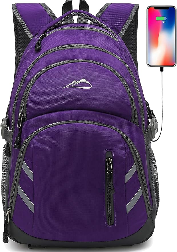 Backpack Bookbag for College Laptop Travel, Fit Laptop Up to 15.6 inch with USB Charging Port Multi Compartment Anti theft, Gift for Women Men (Purple)
